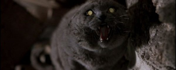 PET SEMATARY MOVIE IN WORKS FOR PARAMOUNT+